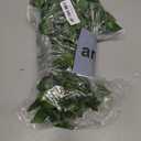 Twinkle Star 300 LED Curtain String Lights, 8 Modes Plug in Fairy Lights for Bedroom,Wedding,Party,Birthday, Hanging Twinkle Light for Indoor Outdoor Wall Window Backdrop Decoration, Warm White