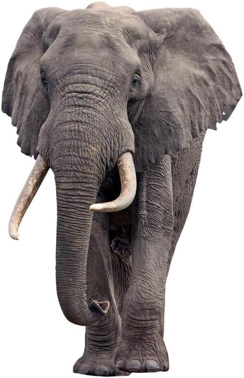 Elephant - Life Size Cardboard Cutout Standup People with Support Standee | Animals -