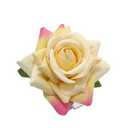 CROWN GUIDE 4-Pack Rose Flower Bridal Hair Combs Women Wedding Hair Accessories Pieces For Brides Flamenco Dancer Hairstyles (One Size)