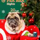 Self-Adhesive Vet Bandage Wrap, First Aid for Dogs & Horses, Multi-Use for Gear Grip & Cable Organizing, Individually Wrapped, 2 Inch, 8 Rolls, Spring Bloom Paw