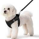 Pet Harness No Pull with Breathable Mesh, Comfort-Focused Dog and Cat Harness Featuring Hook & Loop Fastener, Snap Buckle and Double D-Rings, 0.55FIT, Black, Small