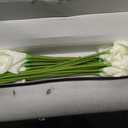 24 Pcs White Artificial Calla Lily Flower White Fake Silk Flowers Real Touch for Wedding Bouquet Office Home Kitchen Decor