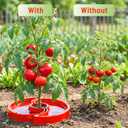 8 Sets Tomato Watering Ring, Aqua-Direct Red Tomato Halo for Vegetable Direct Root Irrigation, Cuts Runoff, Promotes Vigorous Plant Growth | Rapid-Stake Mount Red