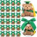 75 Pcs 2026 Mini Graduation Bear Bulk Set with 25 Graduation Gift Mini Stuffed Bears 25 Clear Plastic Fillable Ornament Balls and 25 Bow 2026 Party Favors(Green)