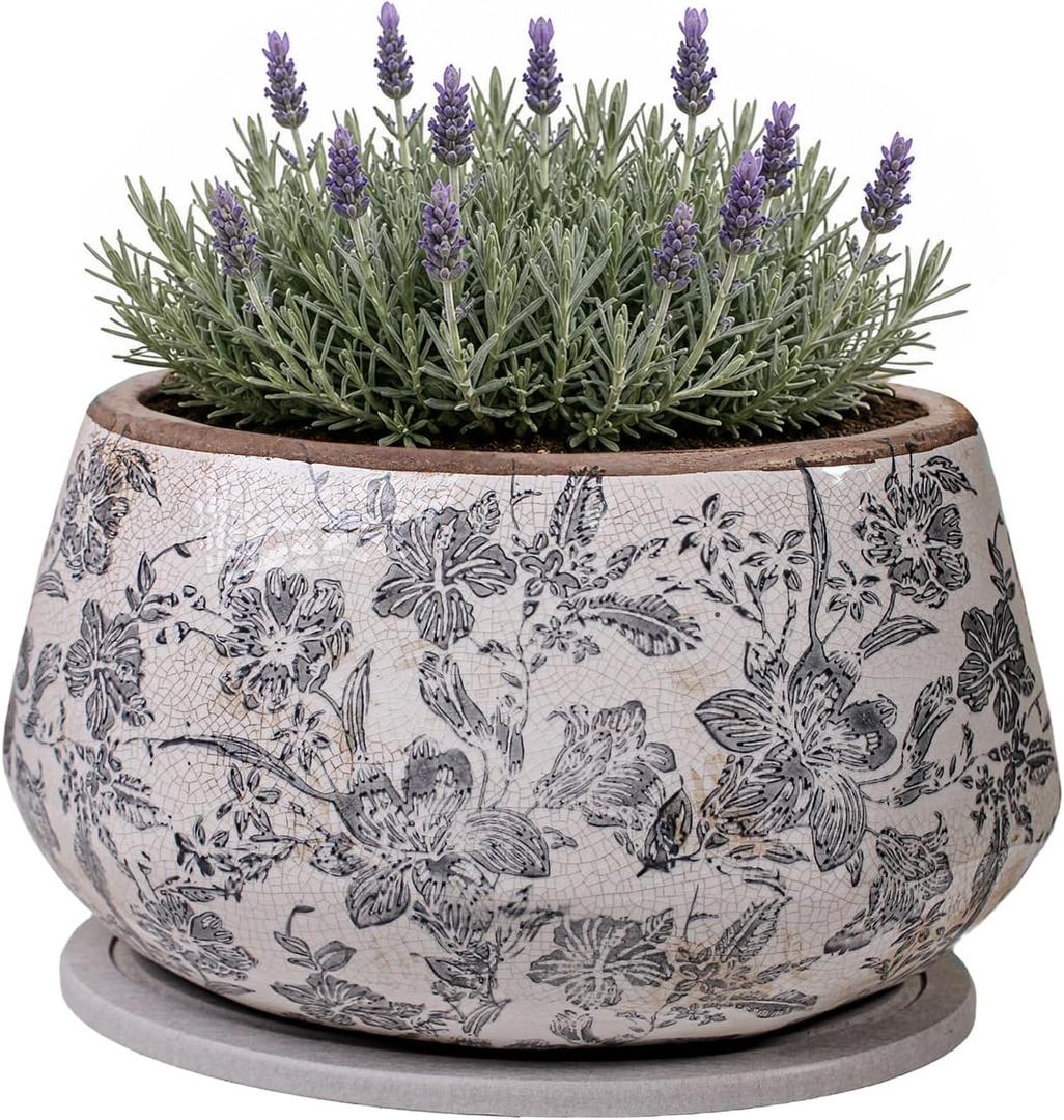 Xiaan Jiaju Vintage Ceramic Planter with Decorative Tray, Plant Lover Gift, 10 inches