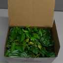 Der Rose 6 Pack Fake Plants Small Artificial Potted Plants Faux Plants for Home Office Desk Bathroom Aesthetic Farmhouse Room Decor Indoor (White)