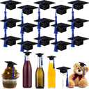 Qunclay 30 Pieces Mini Graduation Cap Black Hats with Blue Tassels Plastic Grad Cake Pops Cover Toppers for Graduation Party Decorations
