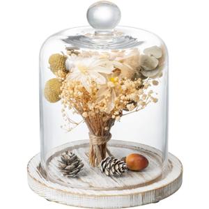 MyGift 7.5 Inch Small Clear Glass Cloche Dome with Shabby White Washed Weathered Solid Wood Tray for Dessert, Cheese and Merchandise Display Case MyGift 7.5 Inch Small Clear Glass Cloche Dome with Shabby White Washed Weathered Solid Wood Tray for Dessert, Cheese and Merchandise Display Case