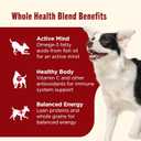 Nutrish Dry Dog Food, Real Beef, Pea & Brown Rice Recipe Whole Health Blend for Adult Dogs, 6 lb. Bag (Rachael Ray) (EXP 05/07/27)