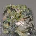 Cindeer 200 Pcs Fake Flower Heads for Crafts Mini Silk Flower Heads Faux Rose Artificial Daisy Blossom Heads Decorative Flowers for Home Bride Bridesmaid Wedding Centerpieces, 2-7 cm (Green)