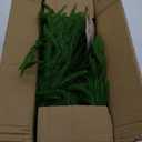 9FT Christmas Garlands Norfolk Pine Garland Real Touch Artificial Faux Greenery Garland for Holiday Indoor Outdoor Decor (9 ft (1 Pack- Young ))