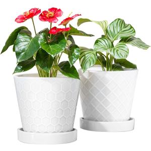 BUYMAX Plant Pots Indoor 6 inch Ceramic Flower Pot with Drainage Hole and Ceramic Tray - Gardening Home Desktop Office Windowsill Decoration Gift, Set of 2 (White)