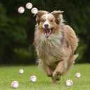 Mini Baseball Stress Balls 20 Packs Mini Baseball Foam Small Foam Squeeze Anxious Toy Sports Stress Ball for Kids School Carnival Reward Baseball Party Decorations Supplies