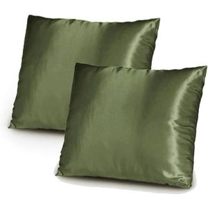 TAOSON Pack of 2 Silky Soft Satin Solid Cushion Cover Pillow Cover Pillowcase Pillow Sofa Throw with Hidden Zipper Closure Only Cover 20x20 Inch 50x50cm Olive Green
