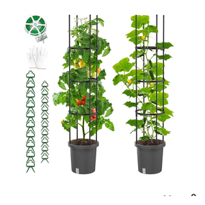 2 Pack Raised Garden Bed Tomato Planter with Trellis, Self Watering Planter Box with Trellis for Climbing Plants Outdoor, PE Coated Metal Tomato Cage Plant Support for Flowers Vegetable Indoor