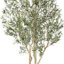 Realead Artificial Olive Tree 8ft - Large Faux Olive Tree with Realistic Leaves and Olives - Full and Grand Design Fake Olive Tree with Sturdy Base for Indoor Outdoor Office Decor
