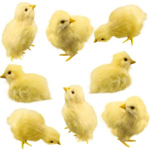 Fahacop 8 Pack Easter Simulated Chicks Realistic Plush Chicks Fluffy Yellow Chick Toys for Easter Party Decoration Basket Fillers Photography Props, 4 Styles