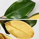 Christmas Gold Leaf Holiday Teardrop Swag 27" Artificial Magnolia Greenery Hanging Decoration Elegant Front Door & Fireplace Dcor for Christmas Thanksgiving