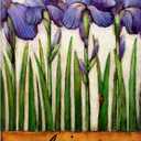 Trademark Fine Art, 14x19 Irises Purple by Daniel Patrick Kessler