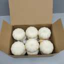 FUTUREPLUSX 12PCS Mini White Pumpkins for Decor, Fake Pumpkins to Paint, Halloween Thanksgiving Decorating Displaying