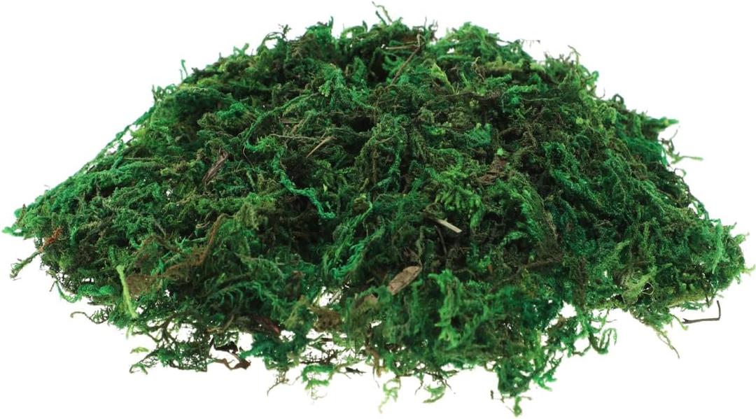 2 x DECHOUS Fake Moss: Artificial Preserved Moss for Plants Bonsai Crafts Fausse Mousse for Terrarium Plant Pot (About 20G)