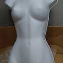 SSWBasics Female Mannequin Torso - Fits Womens Sizes 5-10 - Molded, Shatterproof & White