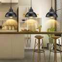 Plug in Pendant Light, 15FT Hanging Lights with Plug in Cord, On/Off Switch, Industrial Pendant Light with Plug in Cord, Metal Hanging Lamps for Living Room, Kitchen, Dining Room, Bedroom
