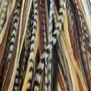 Feather Hair Extension  Natural Dark Brown and Beige, Five Genuine Feathers Bonded Together, Ranging from 4 to 7 Inches, One Extension