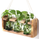 2+1 Plant Terrarium Plant Propagation Station Gifts for Father Halloween Skull Home Office Decor with Wooden Stand