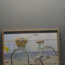 DI NV Beach Cruiser Frame, 22x 28 