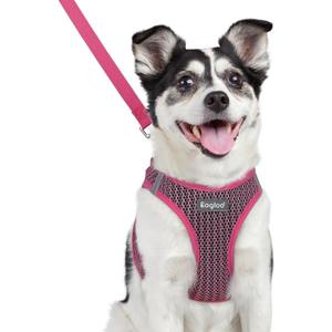 Eagloo Small Dog Harness and Leash Set, Step in Puppy Vest with Breathable Soft Mesh, Walking Reflective Pet Harness for Medium Small Dogs, Rose Red, L (L(Chest:18.2"-20.5"))