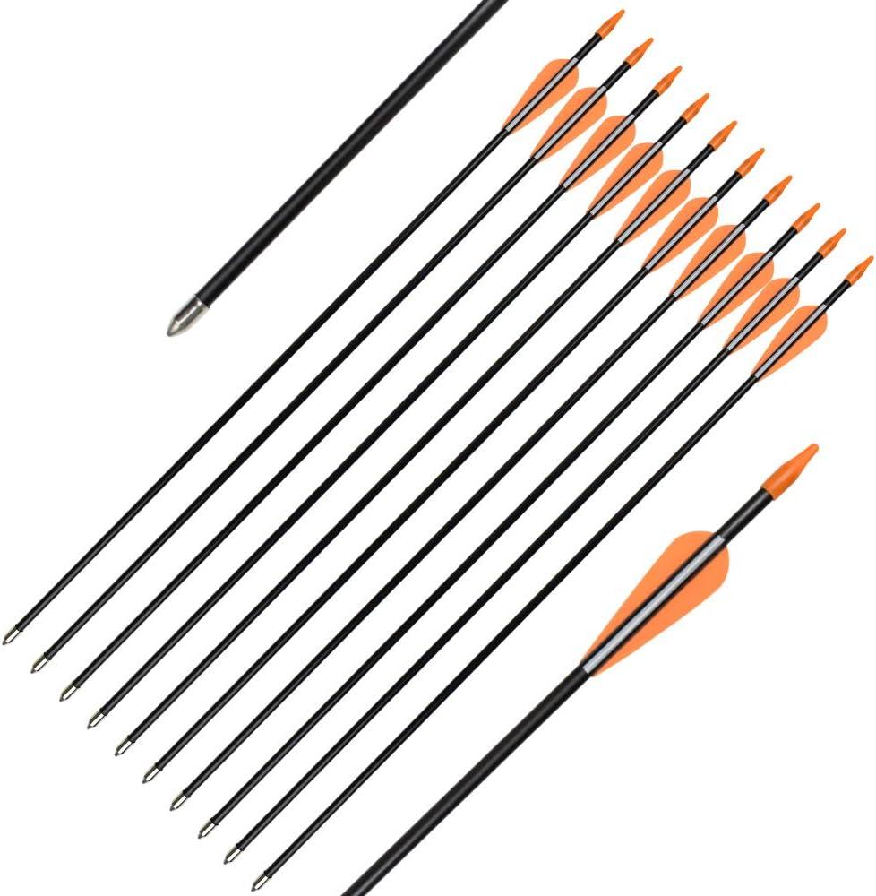 Fiberglass Practice Arrows Archery 28 Inch Target Shooting Safetyglass Recurve Bows Suitable for Youth Children Woman Beginner 12PCS