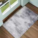 Door Mat, Front Indoor Doormat 24"x36" Non Slip Entryway Rug Indoor, Washable Small Rug for Entrance Bedroom Kitchen Bathroom Laundry Low Profile Throw Rug(2x3 Feet) (Dark Grey Cloud)