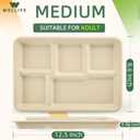 WELLIFE 100% Compostable 5 Compartment Paper Plates, 100 Pack Disposable School Lunch Trays Divided Plates for Adult Youth, 12.5 * 8.6 inch Heavy Duty Eco-Friendly Bagasse Plate for Buffet and Party