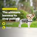 PetSafe Easy Walk Harness for Dogs - Pull-Free Walks - Patented Martingale Loop Design - Front Chest Leash Attachment - Comfort Straps - Breathable Harness Design - Petite/Small, Black/Silver