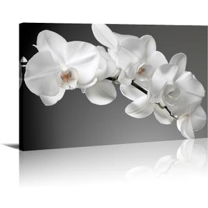 Orchid Canvas Wall Art Bathroom Wall Decor Gray Posters White Floral Painting Prints Modern Artwork for Living Room Bedroom Home Office Decor Framed(Flowers-5,16.00"x24.00")