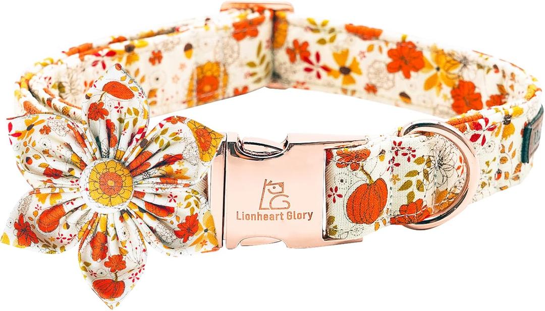Lionheart Premium Dog Collar - Heavy Duty, Adjustable, Flower Pattern with Bow Tie for Medium Dogs (Medium (Pack of 1, Pumpkin and flower)