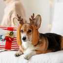 6 x Christmas Deer Antler Headband with Dog Ears Reindeer Antlers Headband Deer Hoop Headwear for Adult Cute Costume (Dark Brown)