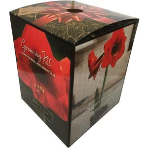 Amaryllis Red Lion Growing Kit. Includes: Big Red Lion Bulb, Plastic Pot and Saucer, and Professional Growing Medium
