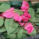 5FT Artificial Bougainvillea Tree – Faux Silk Pink Bougainvillea Plant with Pot for Indoor Outdoor Decor, Tall Fake Tropical Tree for Home, Office, Patio, Balcony, Wedding Decoration