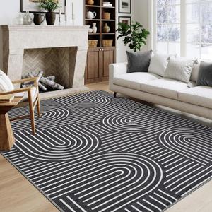 ROYHOME Washable Rug 5x7 Area Rugs for Living Room, Abstract Rug for Bedroom, Soft Rainbow Non Slip Throw Rugs with Rubber Back, Low Pile Stain Resistant Boho Geometric Carpet for Dining Room, Black
