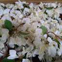 Briful 6ft White Bougainvillea Flower Garland Artificial Silk Floral Vine with Built-in Hook Faux Flower Garland for Backdrop Table Wall Wedding Party Home Decoration