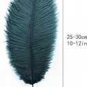 Ballinger Teal Ostrich Feathers Bulk - 24Pcs 10-12inch Feathers for Party Centerpieces, Flower Arrangement and Home Decor(Teal)