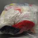 Joiedomi 6.6 FT Long Christmas Inflatable Decoration Reindeer Peeing on Snowman, Blow Up Christmas Inflatables Outdoor Decorations with Build-in LEDs for Xmas Party Outdoor Indoor Yard Garden Dcor