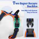 rabbitgoo Dog Harness No Pull with 2 Leash Clips, Adjustable Soft Padded, Reflective Oxford No Choke Pet Vest with Easy Control Handle for Medium Sized Dogs, Blue & Orange, M