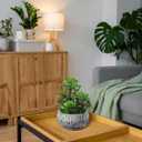 Villa Como 10 Large Succulents Plants Artificial in Ceramic Pots Potted Faux Succulent Arrangement with Black Bowl Pots Fake Desk Succulents Plants for Home Bathroom Shelf Table Indoor Decor