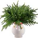 16-Pack 18" Artificial Norfolk Pine Branches: Real-Touch Christmas Greenery Stems for DIY Garland & Wreath Vase Filler Lifelike Indoor Holiday Decor