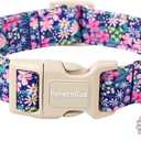 Lionet Paws Floral Dog Collar- Cute Spring Wildflowers Daisy Fleabane Dog Collars with Plastic Buckle,Light Adjustable Dog Collars for Medium Large Dogs (Large (Pack of 1), Blossoms)