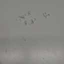 Gutter Clips for Hanging Outdoor Lights: 50Pcs Metal White Weatherproof Christmas Light Clips for Outside String Lights Xmas Halloween Seasonal Rope Mini Decoration Lights