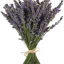 TooGet Natural Lavender Bundles, Freshly Harvested 400+ Stems Dried Lavender Bunch 16" - 18" Long, Decorative Flowers Bouquet for Home Decor, Crafts, Gift, Wedding or Any Occasion